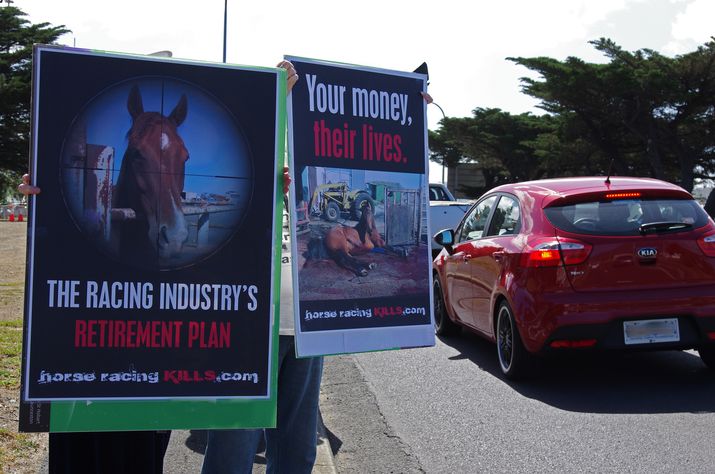 The Hobart Cup demo ... 9 image