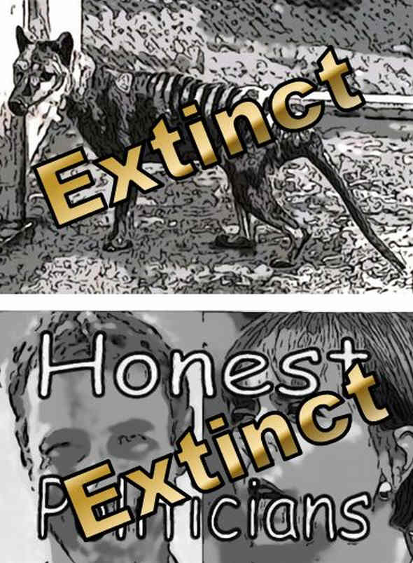 Honest pollies 4 image
