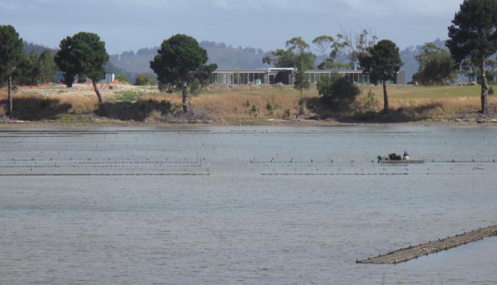 Green Point’s disappearing act 18 Image