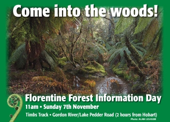 Florentine Forest Information Day, Sunday November 7 1