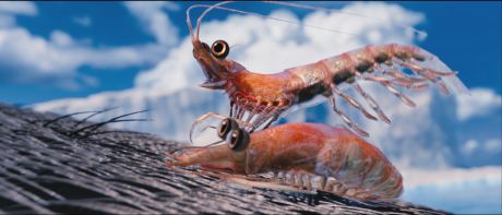 Pew to call for extra protection for krill 4 image