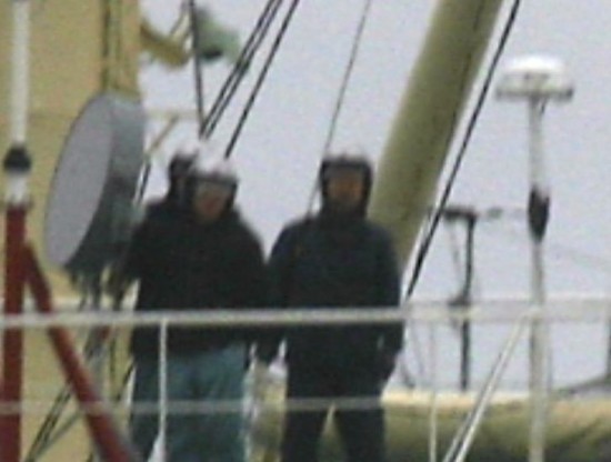 A very tense day of saving whales 1