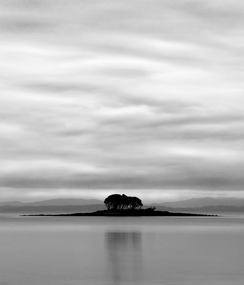 Long Gallery: Gaze ... 10 image