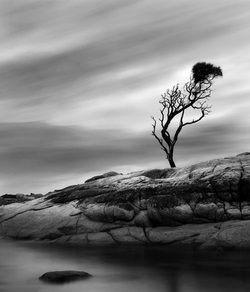 Long Gallery: Gaze ... 8 image