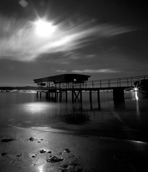 Long Gallery: Gaze ... 9 image
