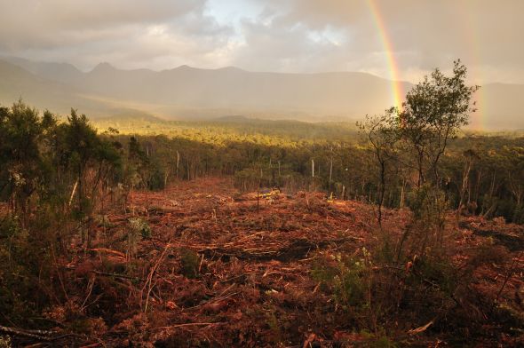 Forestry Tasmania must face reality. Obendorf: The Last Elephant 1