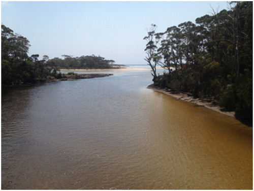 PORTAL – capturing 24 hours of coastal living through your lens 7 image