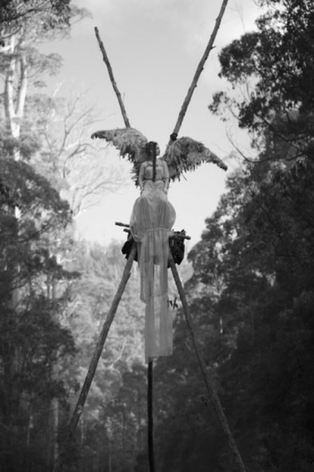 Free Speech and Tasmania’s Forests On Trial 1