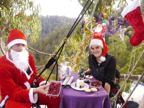 Santa celebrates environmentalist's second Christmas in the tree tops 4 image
