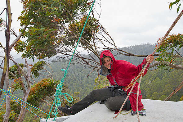Six month milestone for Tasmanian tree sitter 21 image