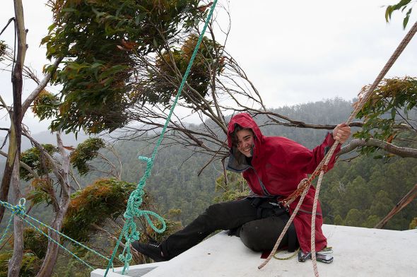 Tree-top vigil - First Anniversary 1