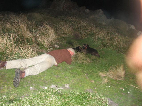 Ashamed of our animal instincts 9 image