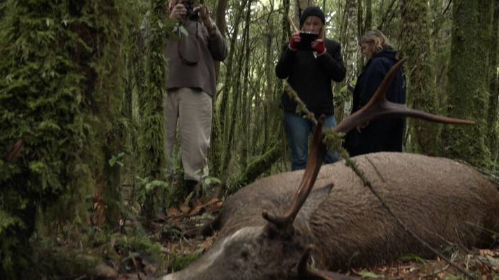 Waikato Regional Council Permits Poisoning of Waterways to Kill Deer ... 7 image