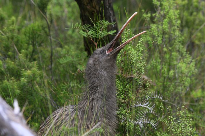 What is wrong with our Environmental Science? 11 image