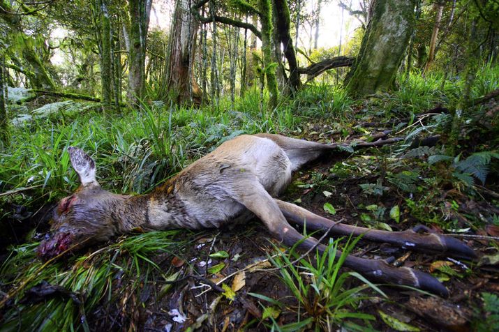 Apology to Waikato Regional Council 10 image