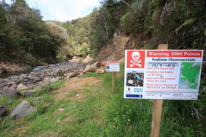 Animal Carcasses and 1080 Poison Baits Contaminate Waterways - District Health Board Responds 7 image
