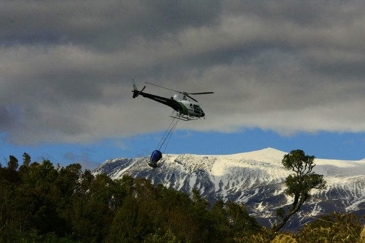 Maori Trusts Allow 1080 Poison to be Dropped Directly into Water 11 image