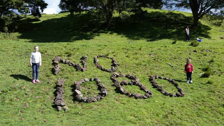 Tasmania ... and culling deer 10 image
