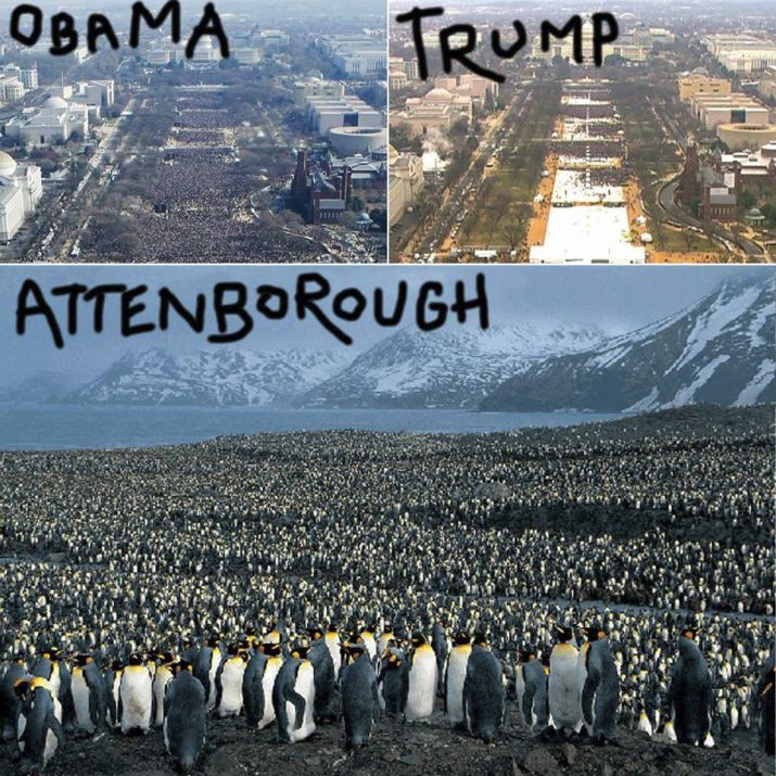 Obama, Trump, Attenborough ... 4 image