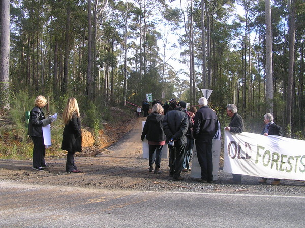 PROTEST IN BERMAGUI STATE FOREST 1