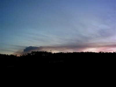 Morning and evening 1