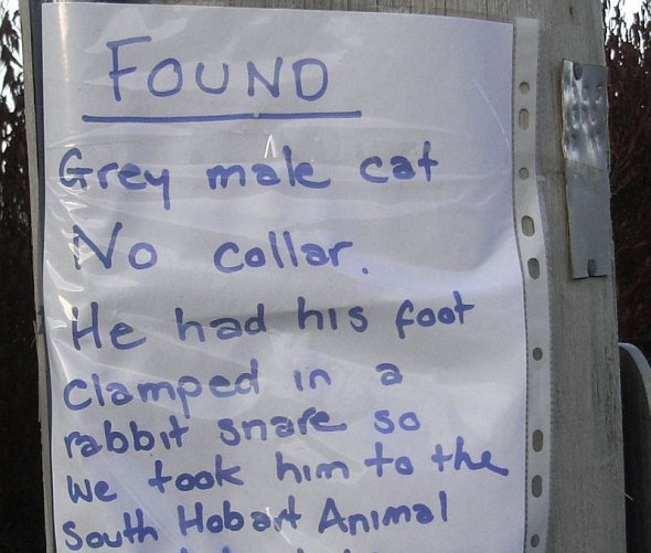 A warning to pet owners ... 4 image