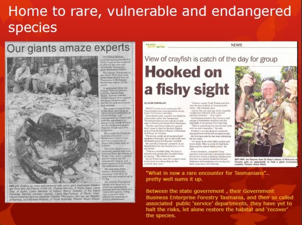 Giant Freshwater Crayfish: Riches to Rags 16 image