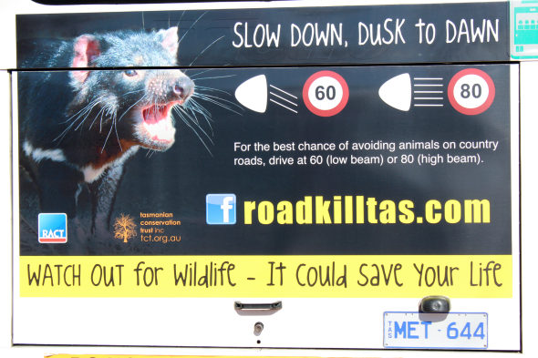 Safer speeds for wildlife ... Threatened Species Day 10 image