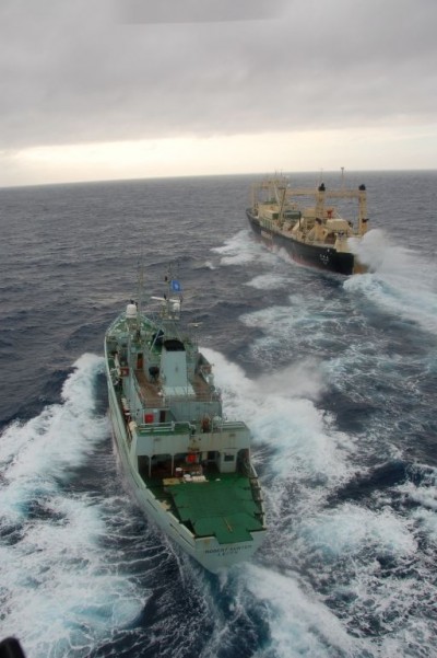 Lost and found in the frigid ocean 1
