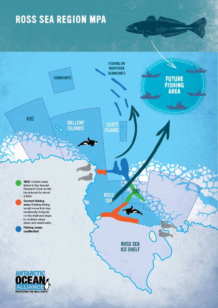 Major Victory for Protection of the Southern Ocean 10 image