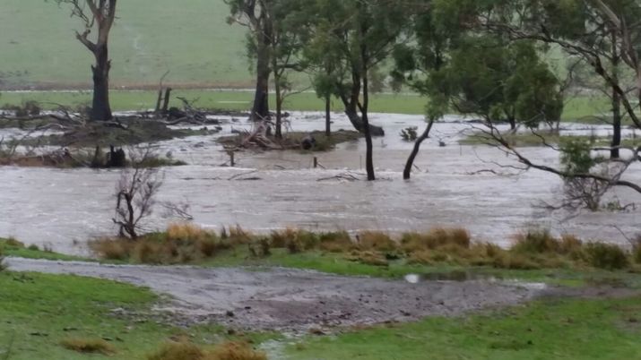Copping Tip: Carlton River Floods Again; 3rd 1-in-100-year event in 3 years 4 image