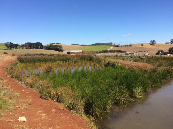 Best practice wetland treatment system proposed for Copping landfill 1