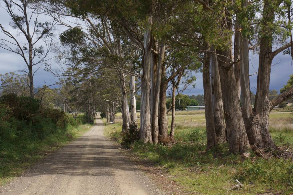 Meander Valley’s Draft Local Provisions Schedule - The First within the Tasmanian Planning Scheme 4 Meander Valley’s Draft Local Provisions Schedule - The First within the Tasmanian Planning Scheme 4