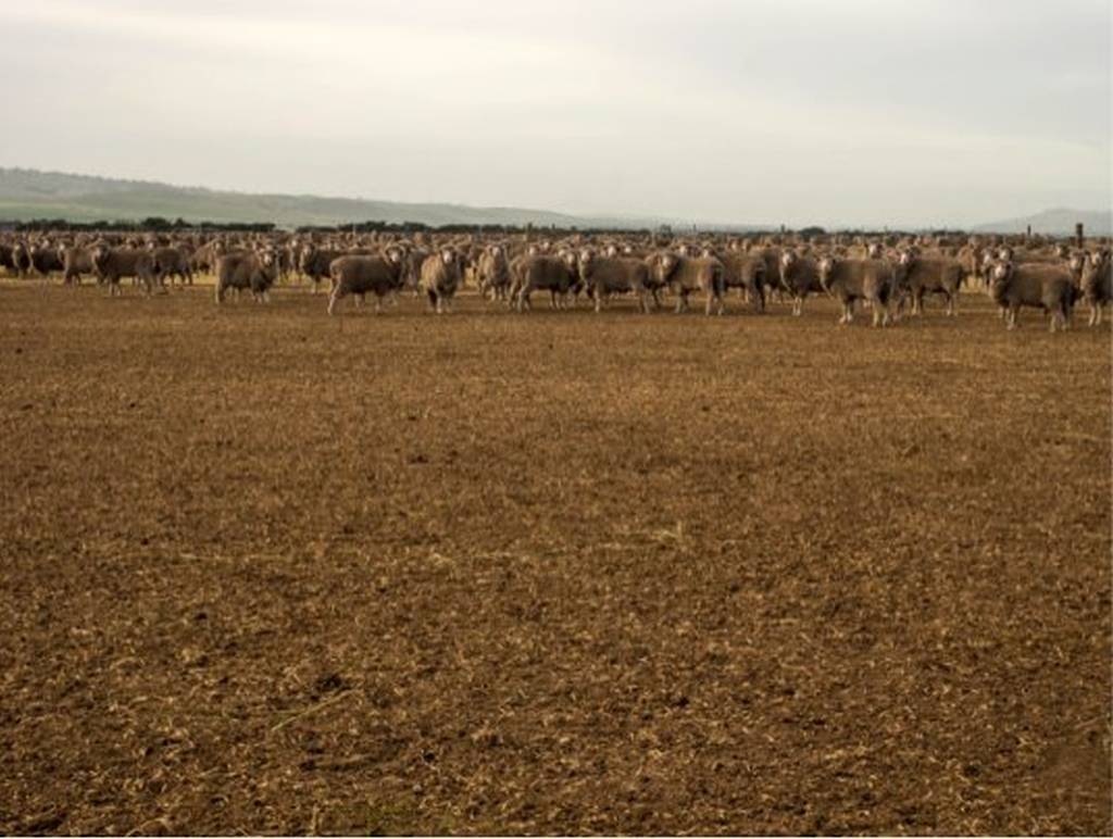 The current farming picture is pretty grim ... 1