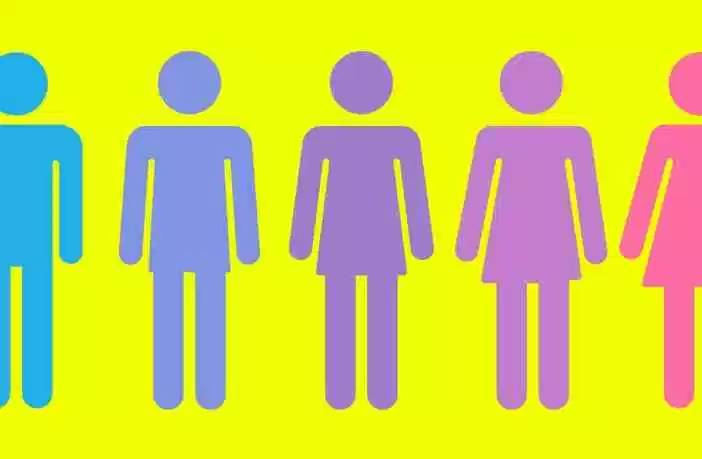 How Queer Theory Became University Policy 1