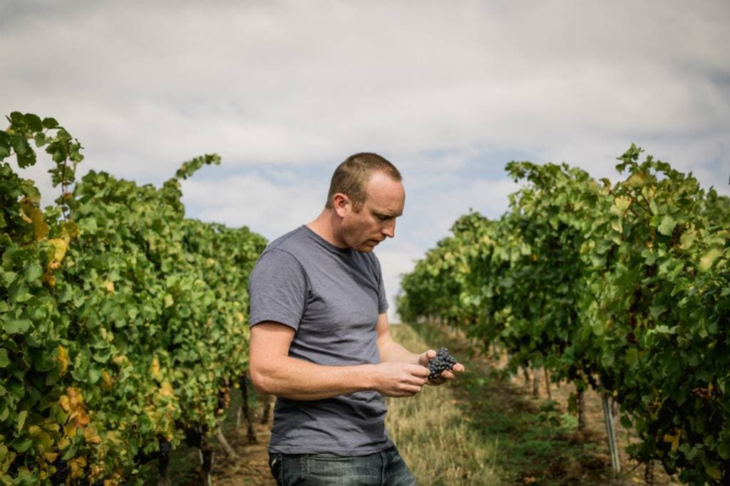 Mark Smith: Adding Shiraz spice to the mix ... 9
