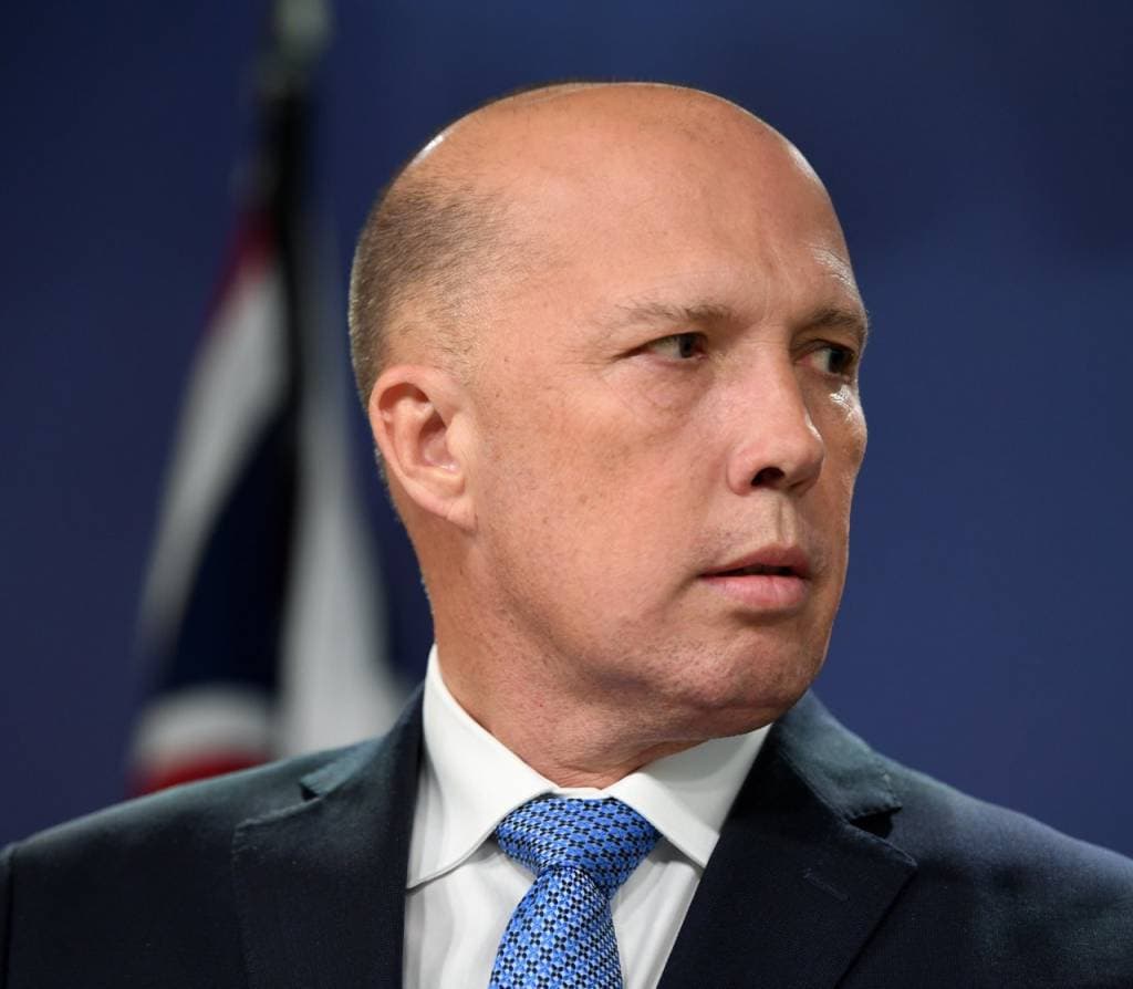 Exclusive: Metadata requests top 350,000 1