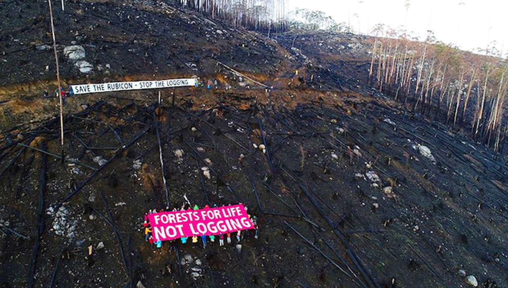 FSC failures ... A testimony to the facts! 3