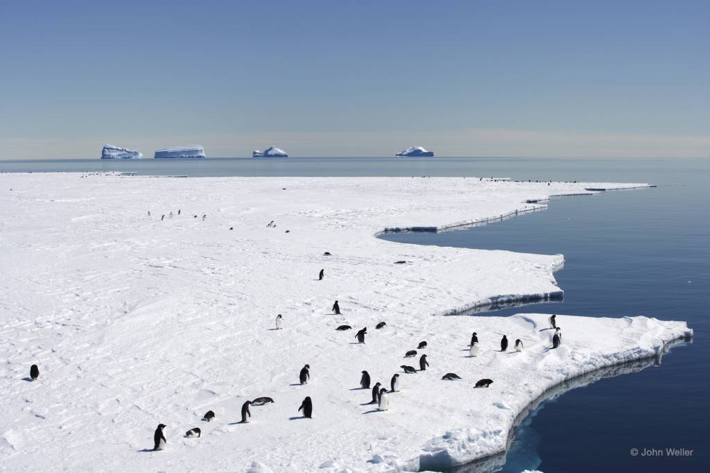 CCAMLR Fails to Protect Southern Ocean 1