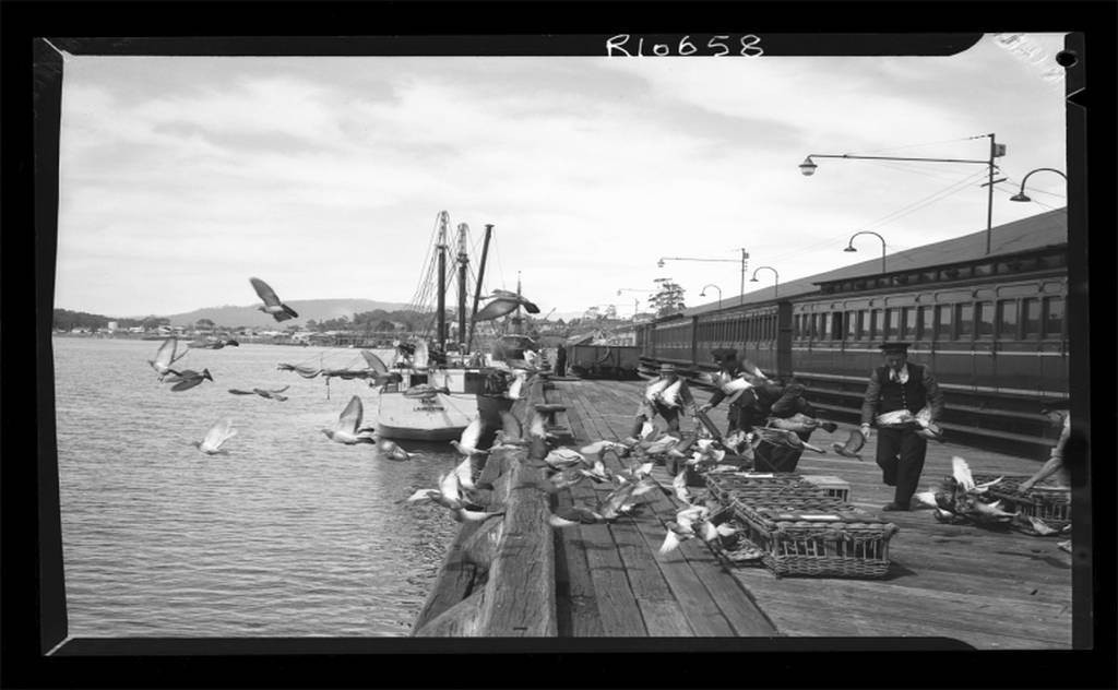 Devonport Regional Gallery: The Robinson Project ... 1