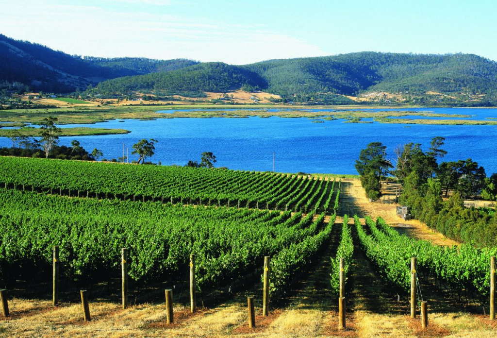 Terroir Wine Tours Tasmania; Owned, Run & Guided By A Tasmanian ...