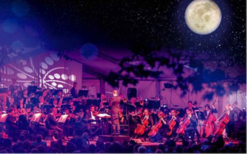 RACT Symphony under the Stars with the TSO at the Botanical Gardens is just the (free) ticket 1