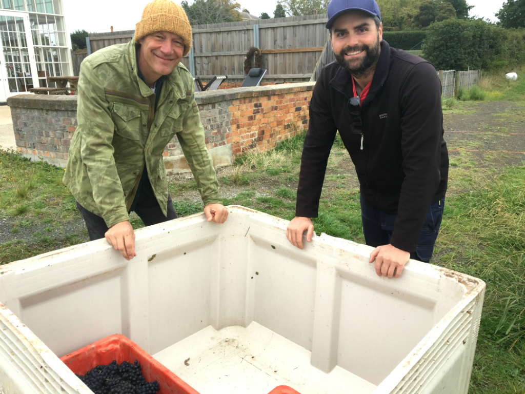 Quest for superb Pinot from suburbs 15