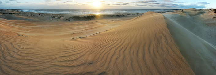 Tarkine/takayna – The Evolution of a National Park 10