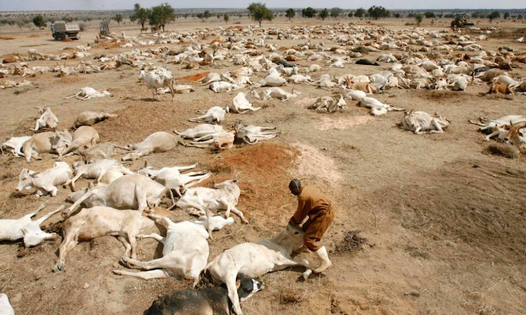 Climate change will alter the way we eat ... 9