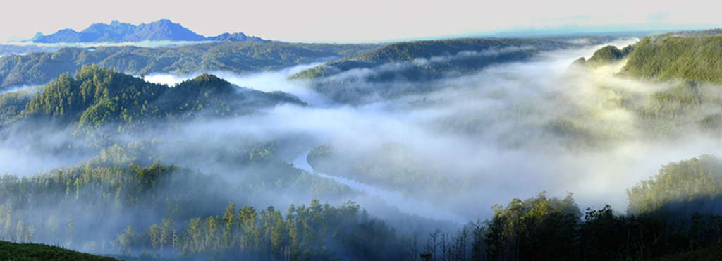 Tarkine/takayna – The Evolution of a National Park 7