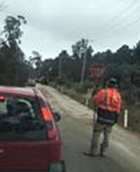 Tony Mulder’s attempt to seal Begonia Street failed to pass Council 1