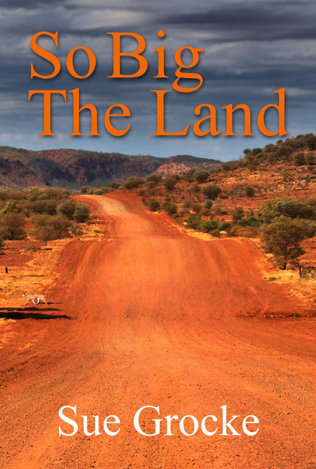 Aurora House: So big the land 1