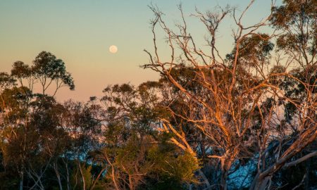 Tinderbox Hills