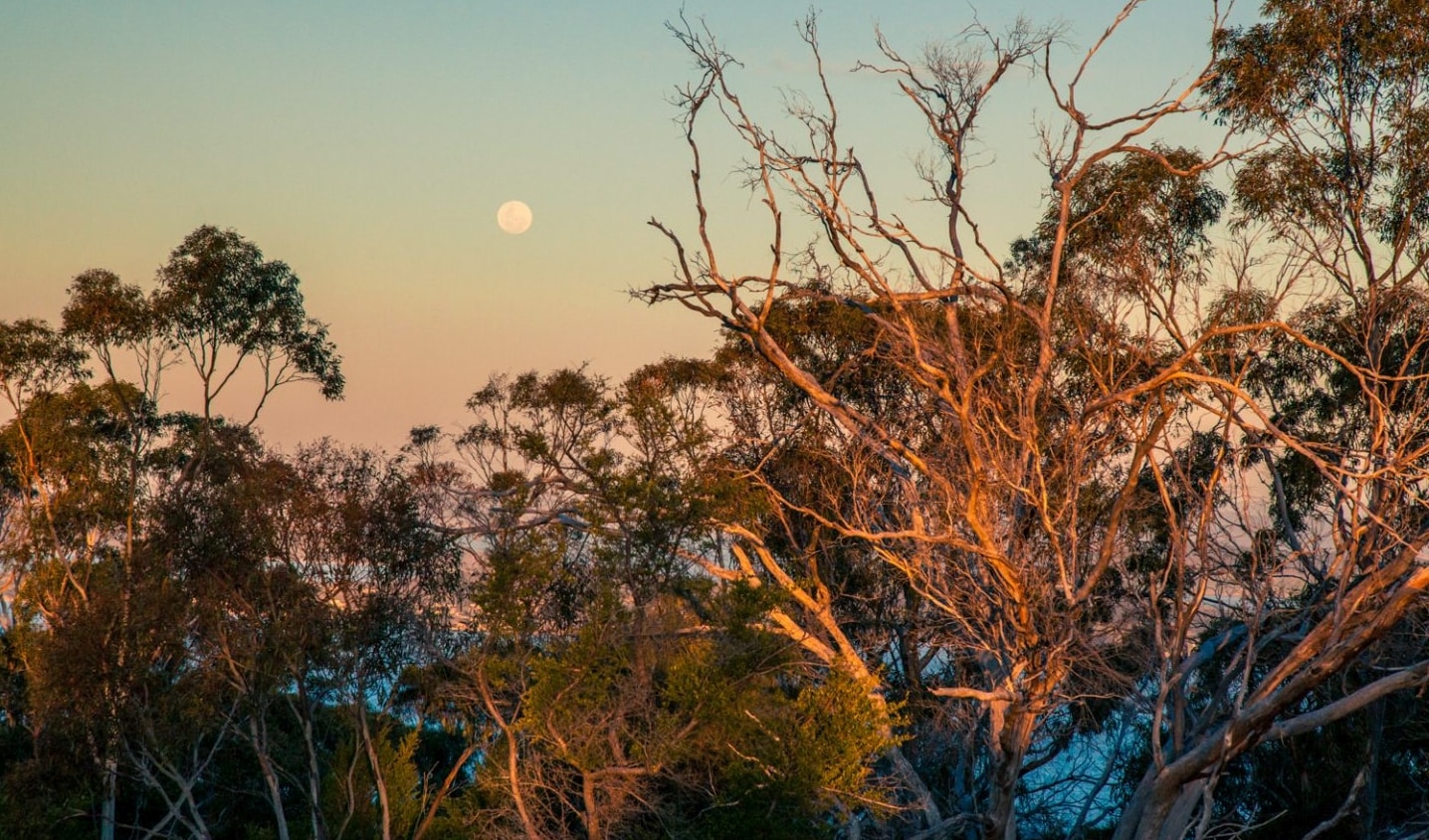 Tinderbox Hills